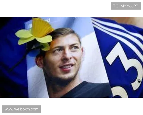 萨拉坠机案法国终审判决将出